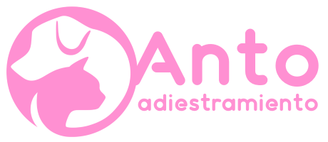 Anto Adiestramiento